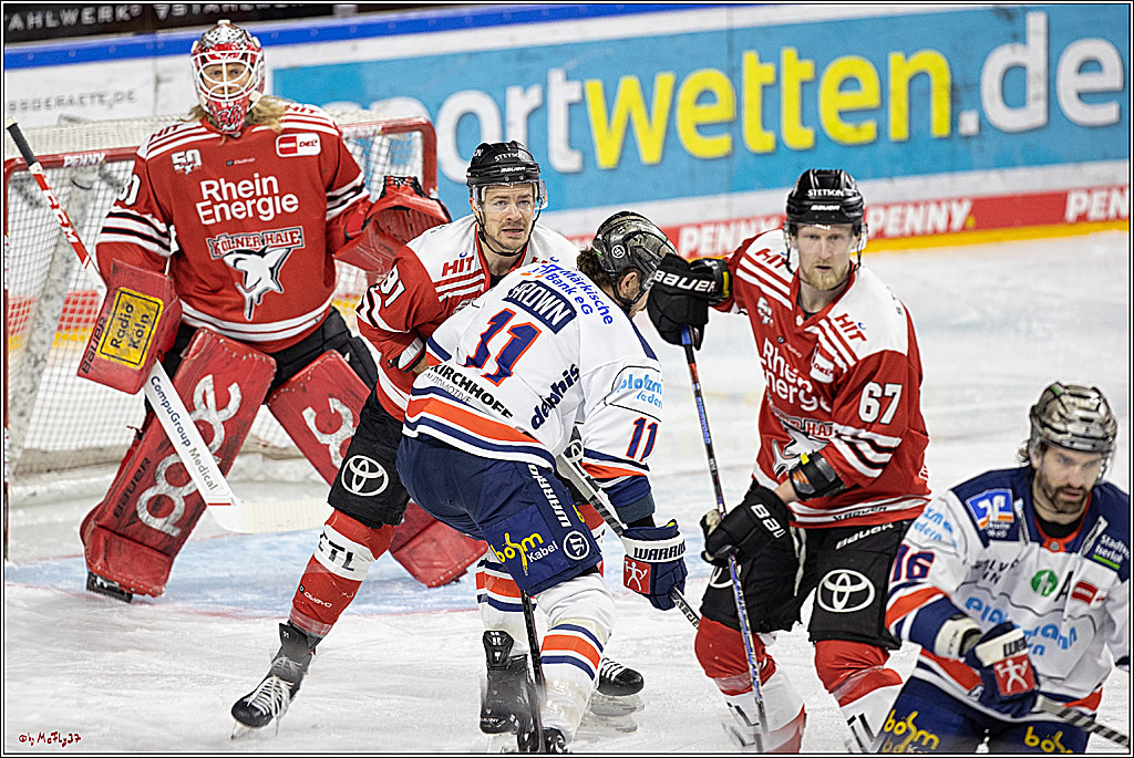 PENNY DEL;  Koelner Haie - Iserlohn Roosters; Koeln, 24.01.2023